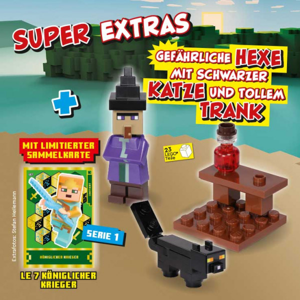LEGO Minecraft 25/24